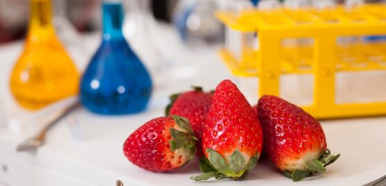 Strawberry with lab test tubes